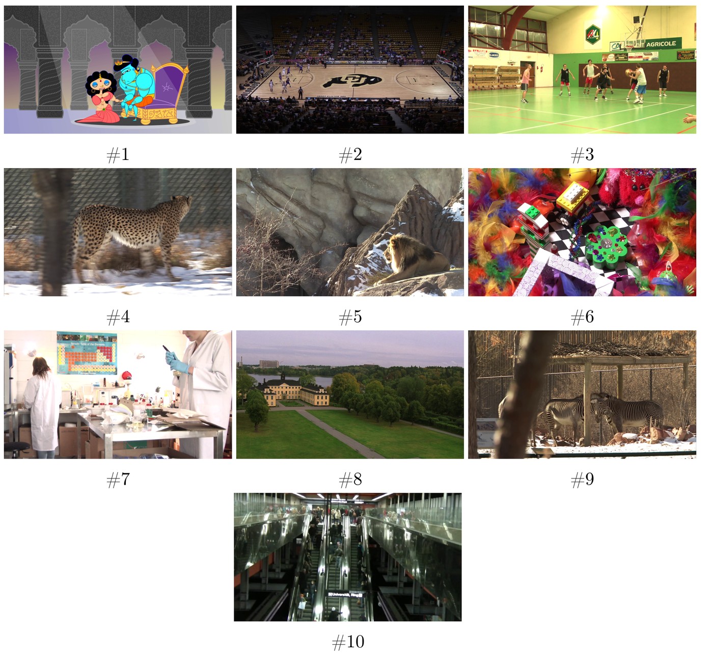 Grid of ten video thumbnails: a cartoon, two basketball scenes, a cheetah, a lion, colourful toys, a lab, an aerial park view, zebras, and an escalator hall
