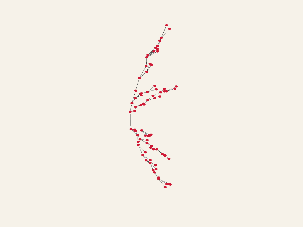 tree82-ssde
