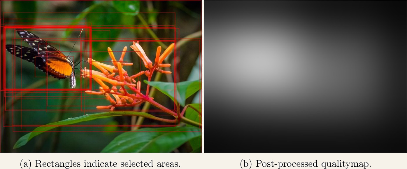 Left: a butterfly on orange flowers overlaid with many overlapping red rectangles. Right: the resulting smooth grayscale heatmap, brightest over the butterfly