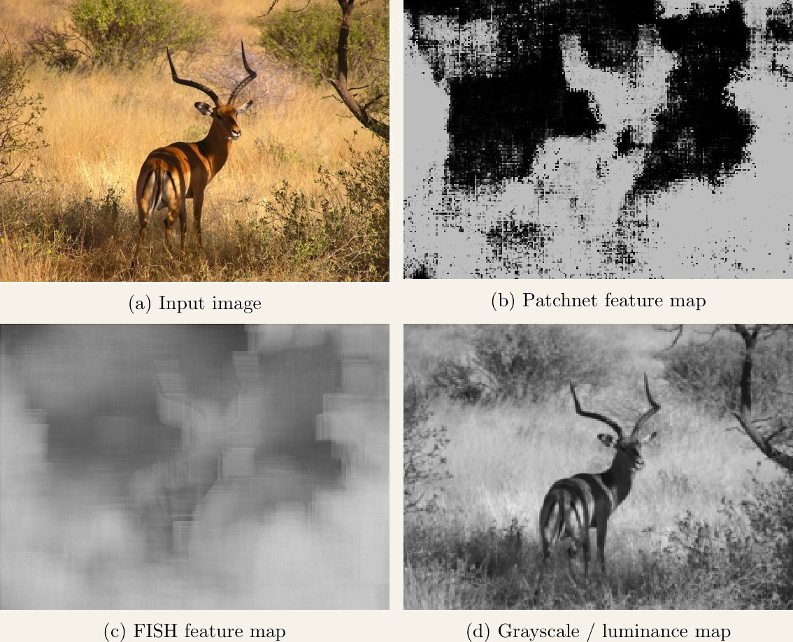 Four panels: a photo of an impala in dry grass, Patchnet's blocky black-and-white quality map, a smoother wavelet sharpness map, and the grayscale image