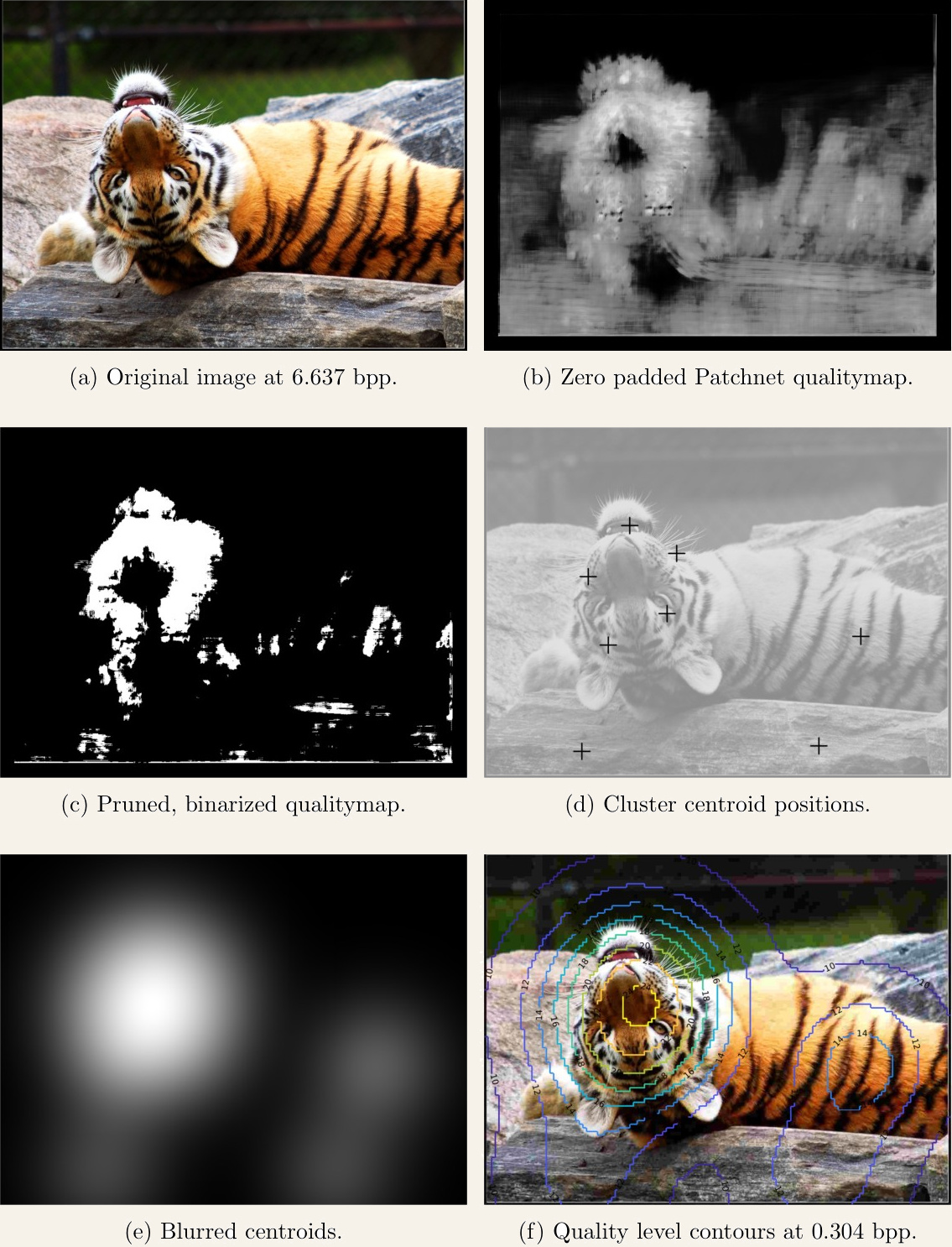 Six panels showing the VarJPEG pipeline applied to a tiger cub photo: original, raw quality map, pruned binary map, cluster centroids, blurred centroids, and final contours