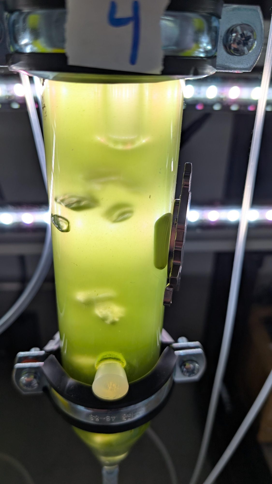 chemostats green