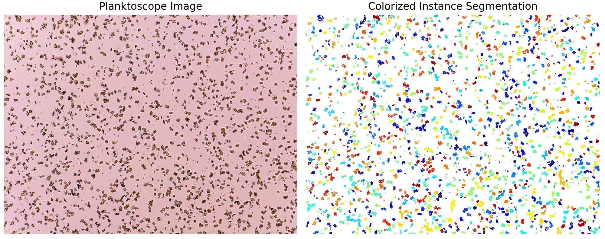 lab culture segmentation